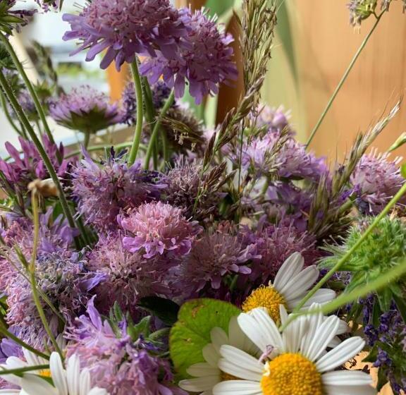 سوییت, Gintherhof