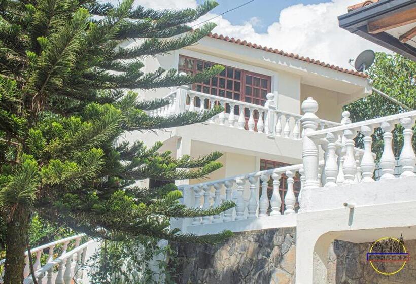 高级大房间, Finca Londres