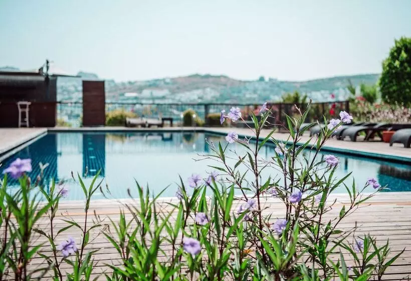 デラックスルーム, Costa Farilya Special Class Hotel Bodrum