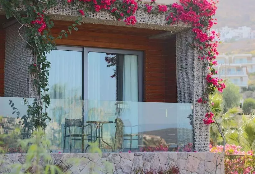 デラックスルーム, Costa Farilya Special Class Hotel Bodrum