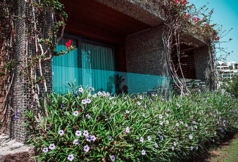 デラックスルーム, Costa Farilya Special Class Hotel Bodrum