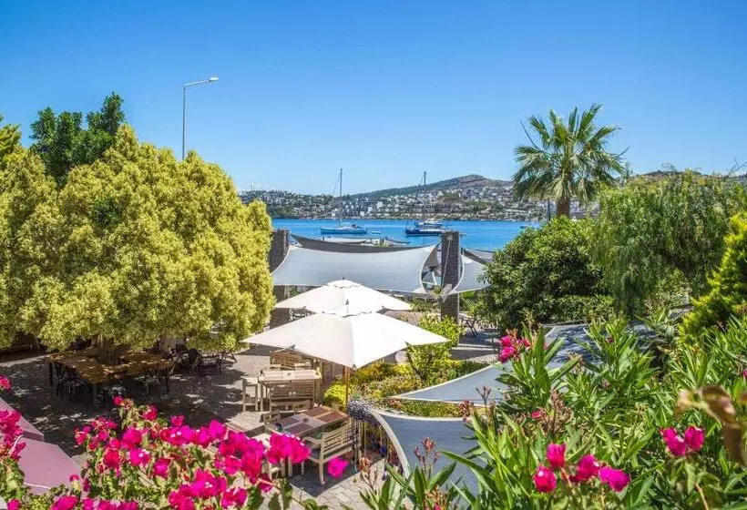 オーシャンビュースーペリアールーム, Costa Farilya Special Class Hotel Bodrum