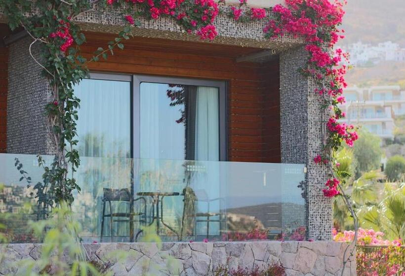 غرفة ديلوكس, Costa Farilya Special Class Hotel Bodrum