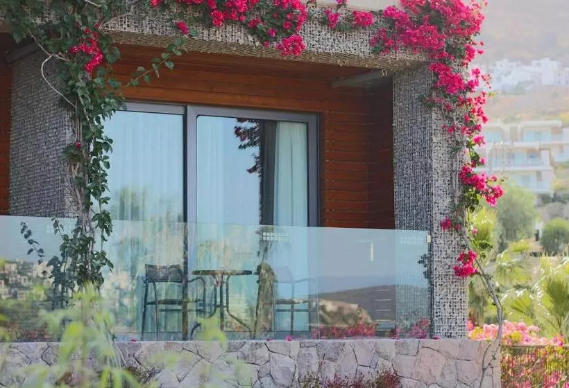 デラックスルーム, Costa Farilya Special Class Hotel Bodrum