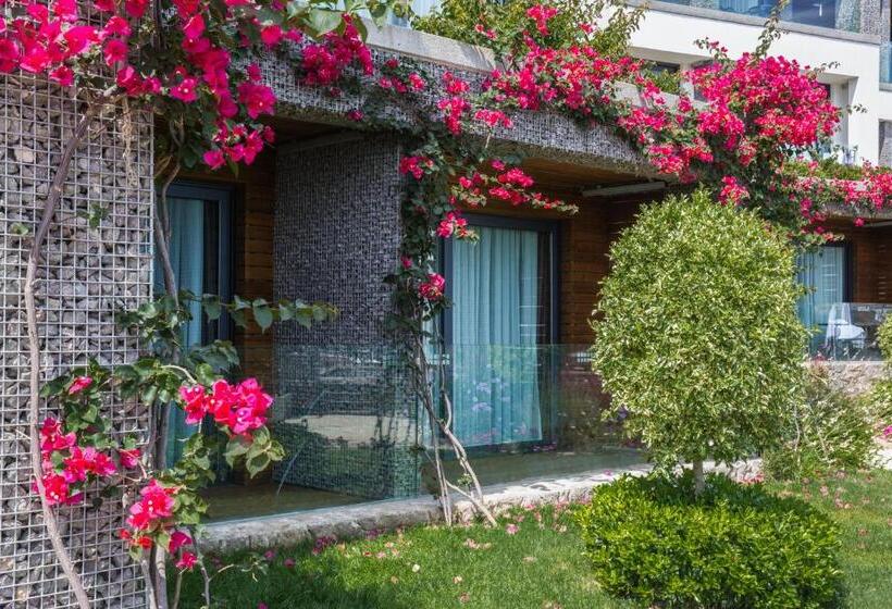 غرفة ديلوكس, Costa Farilya Special Class Hotel Bodrum