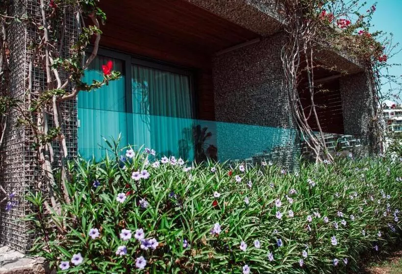 デラックスルーム, Costa Farilya Special Class Hotel Bodrum