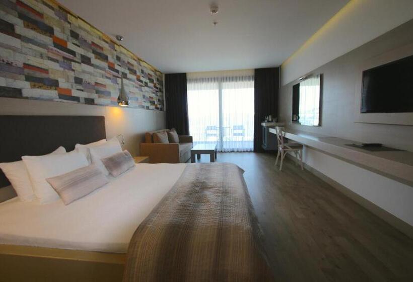 غرفة ديلوكس, Costa Farilya Special Class Hotel Bodrum