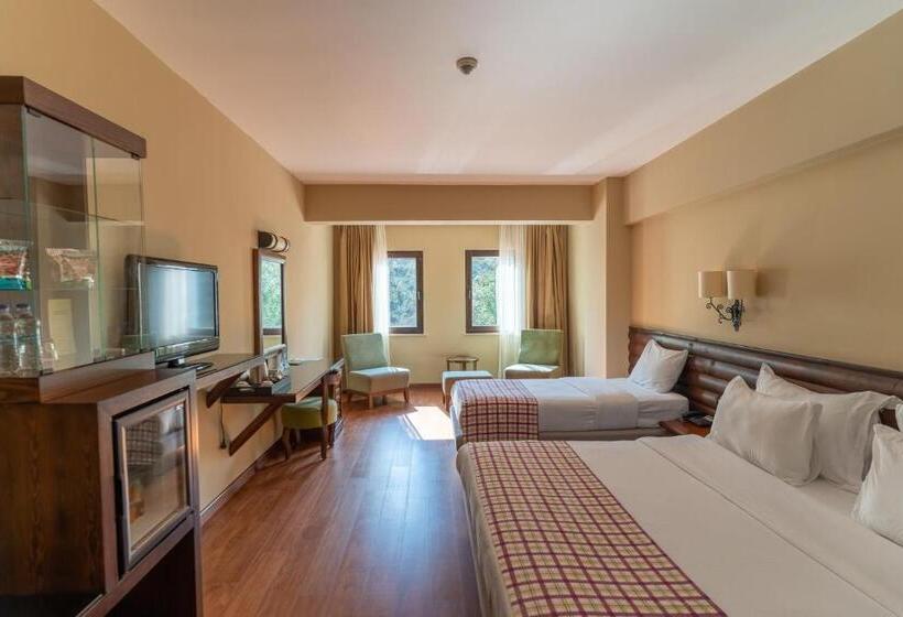 スーペリアールーム, Gazelle Resort & Spa