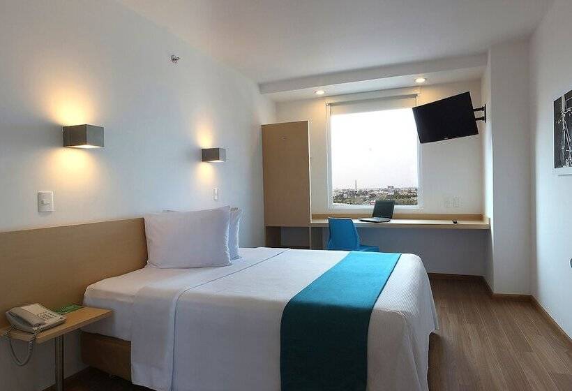 高级大房间, One Guadalajara Tapatio