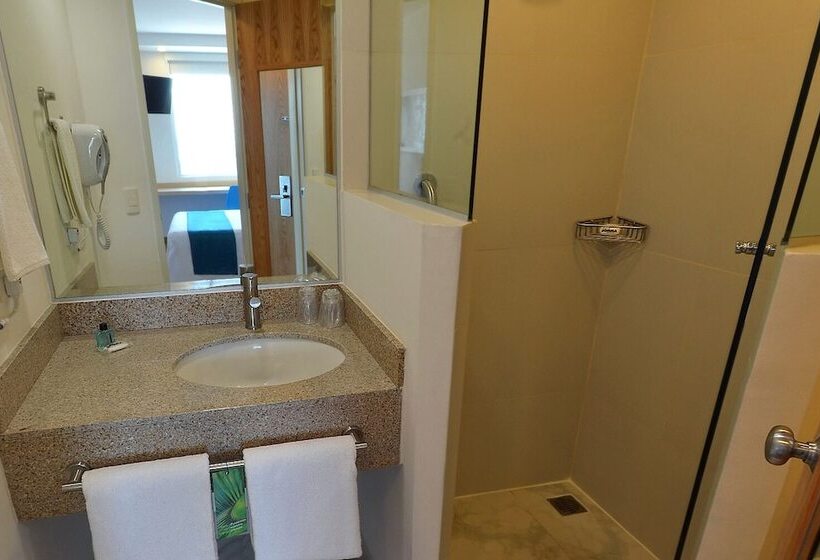 高级大房间, One Guadalajara Tapatio