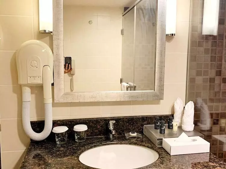 اتاق سوپریور با چشم‌انداز شهر, Best Western Premier Muscat