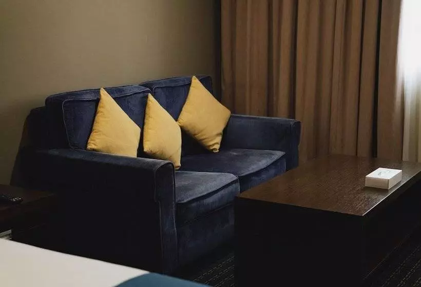 اتاق سوپریور با چشم‌انداز شهر, Best Western Premier Muscat