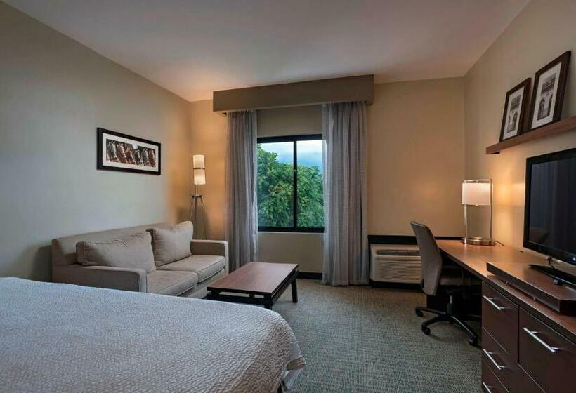 带大床的标准间, Courtyard By Marriott San Salvador