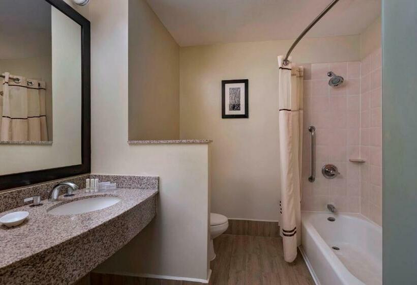 标准间, Courtyard By Marriott San Salvador