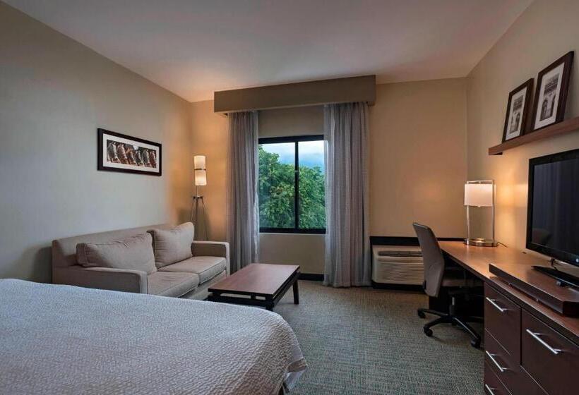 带大床的高级房间, Courtyard By Marriott San Salvador