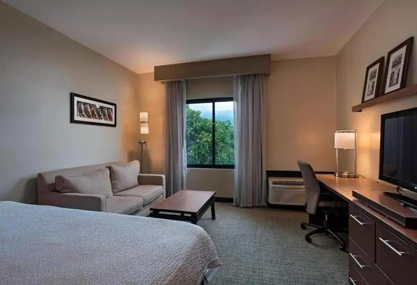 キングサイズベッドのスーペリアルーム, Courtyard By Marriott San Salvador