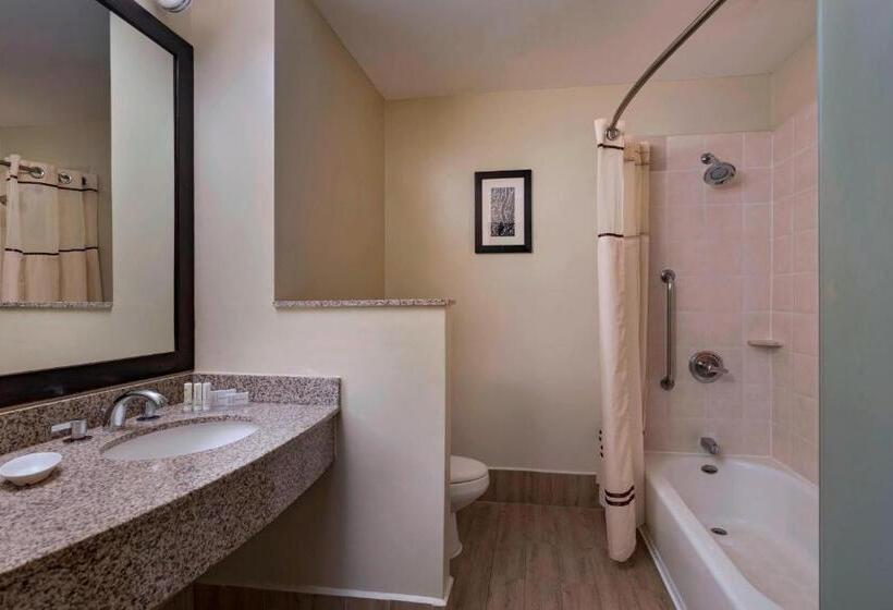 带大床的高级房间, Courtyard By Marriott San Salvador