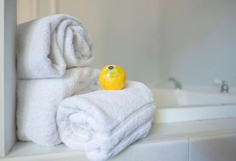 1间卧室的房子, Hounds Tooth Inn