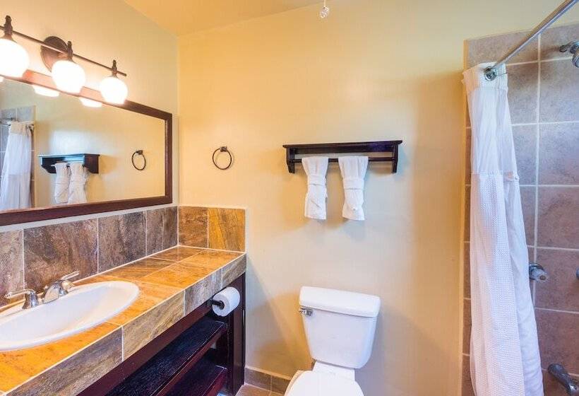 ‫فيلا غرفة نوم واحدة مطلة على الحديقة, X Tan Ha The Waterfront