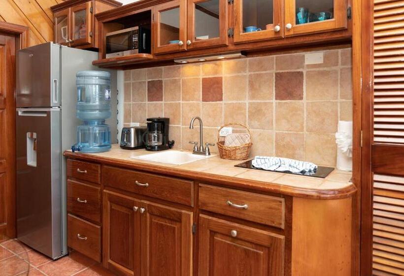 فيلا غرفة نوم واحدة مطلّة علي البحر, X Tan Ha The Waterfront