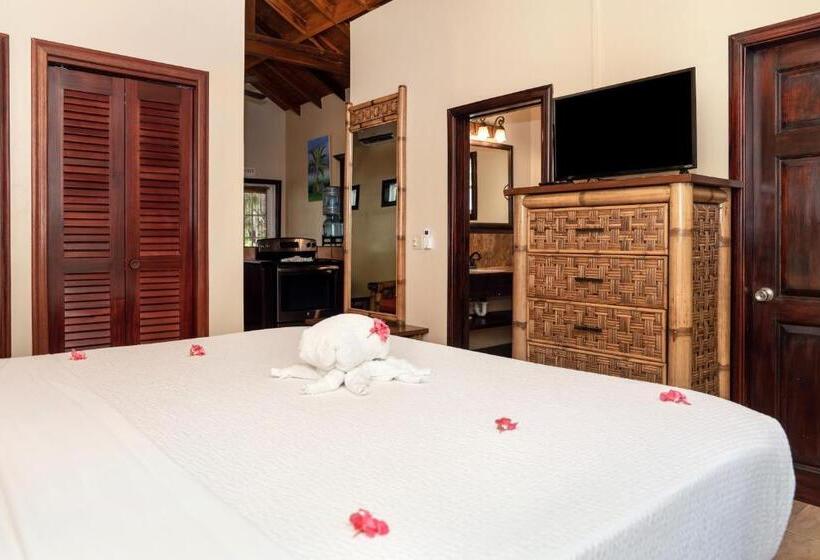 غرفة قياسية, X Tan Ha The Waterfront