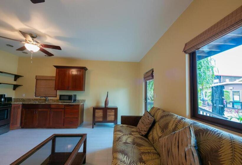 ‫فيلا غرفة نوم واحدة مطلة على الحديقة, X Tan Ha The Waterfront