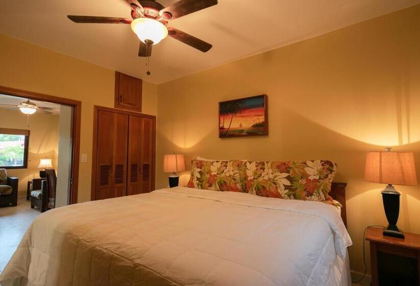 ‫فيلا غرفة نوم واحدة مطلة على الحديقة, X Tan Ha The Waterfront