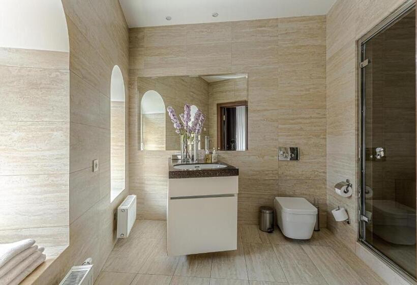 Standard Stúdió Szoba, Senator Maidan