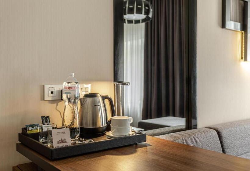 Standard Stúdió Szoba, Senator Maidan