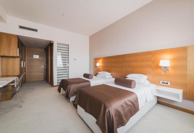 اتاق اکونومی, Aurel