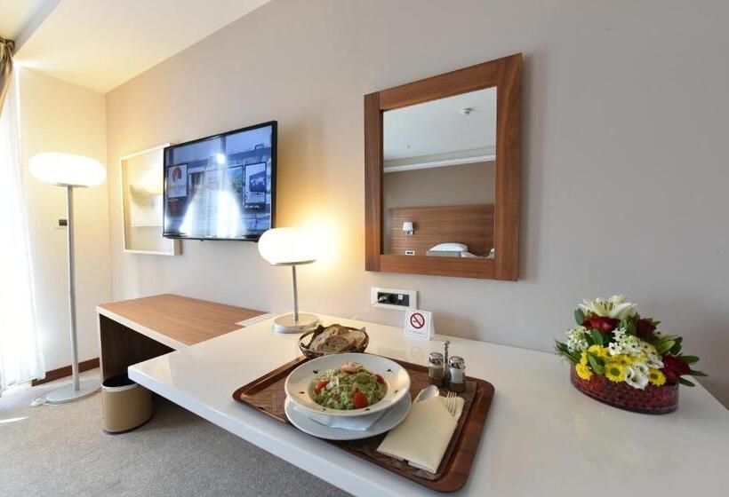 اتاق استاندارد با دسترسی به اسپا, Aurel