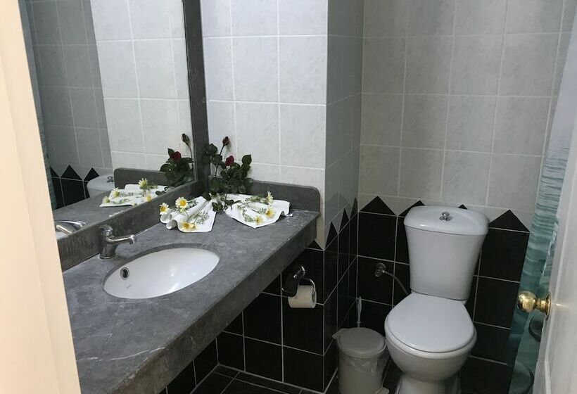 Номер Стандарт, Aymes