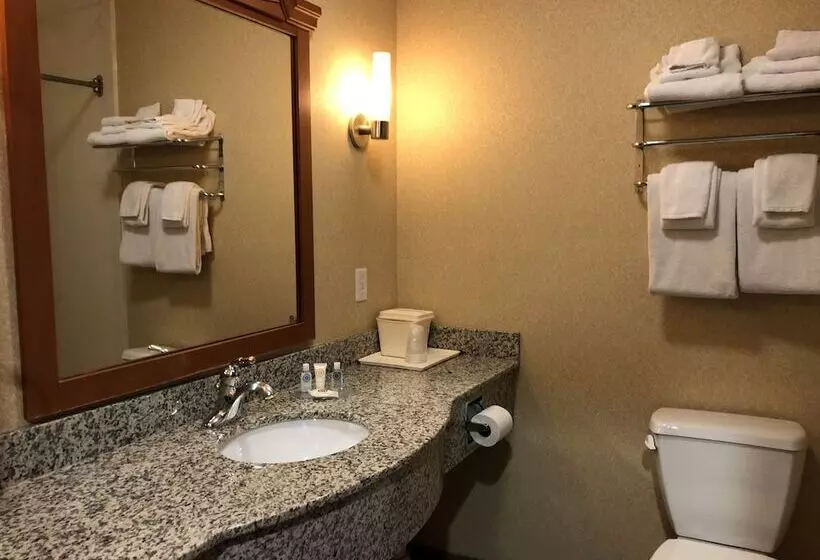 スイート, Comfort Inn Ogden Near Event Center