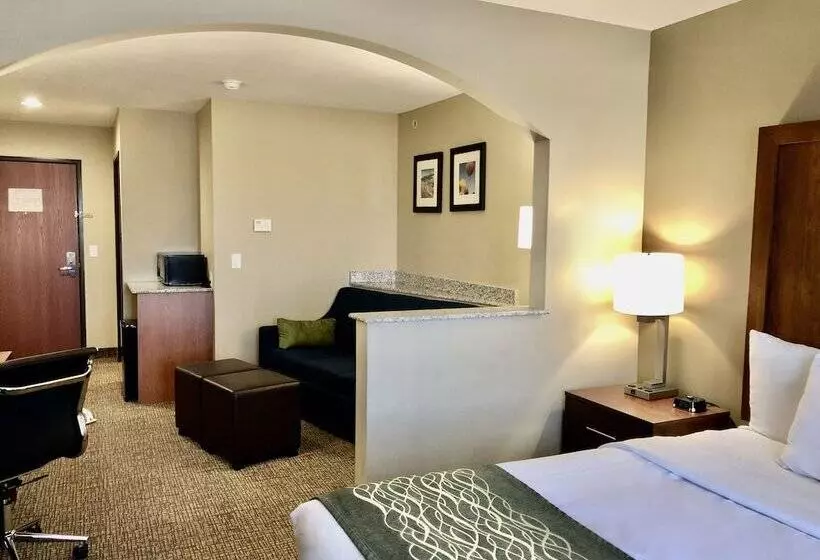 スイート, Comfort Inn Ogden Near Event Center