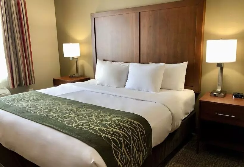 スイート, Comfort Inn Ogden Near Event Center