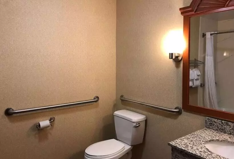 身障者適用スイートルーム, Comfort Inn Ogden Near Event Center