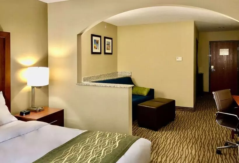 身障者適用スイートルーム, Comfort Inn Ogden Near Event Center