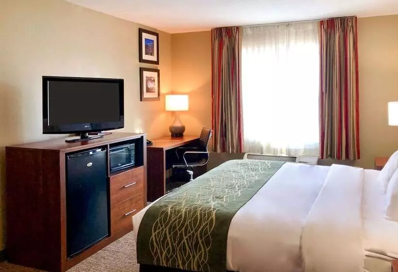 身障者適用スイートルーム, Comfort Inn Ogden Near Event Center