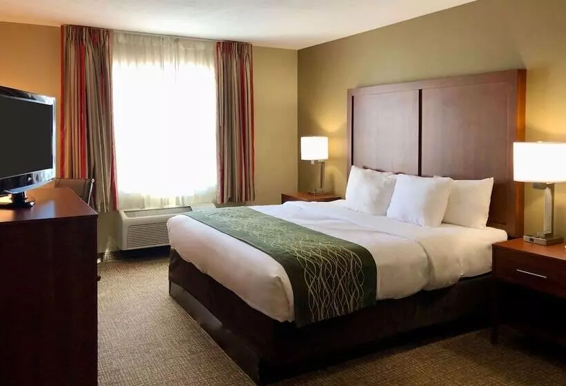 身障者適用スイートルーム, Comfort Inn Ogden Near Event Center