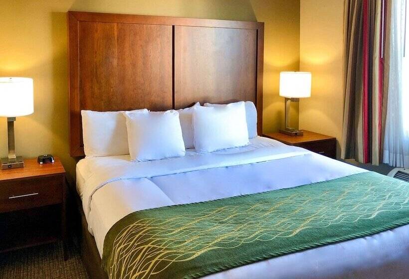 Люкс Адаптированный для Инвалидов, Comfort Inn Ogden Near Event Center