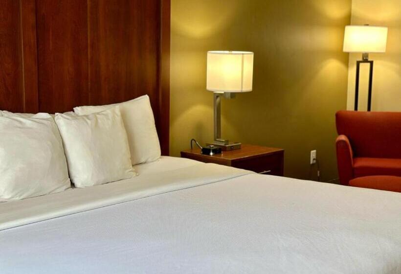 Стандартный Номер Кровать Кинг, Comfort Inn Ogden Near Event Center