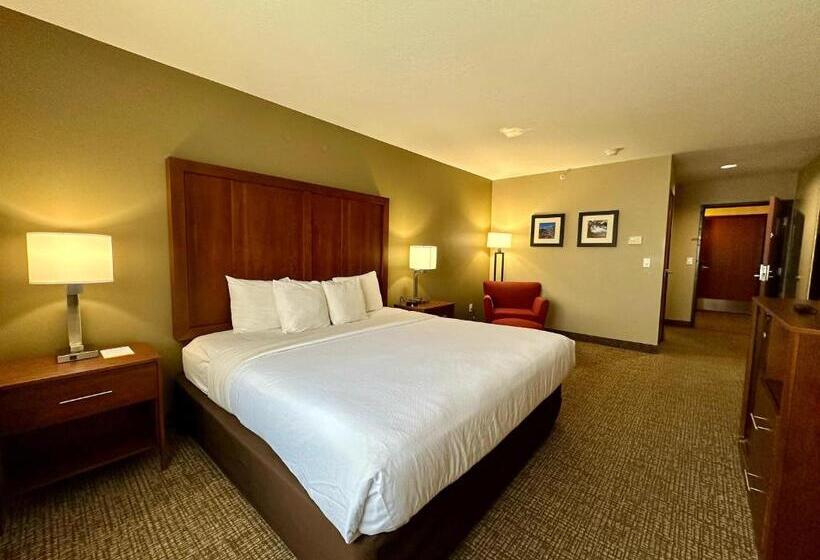 带大床的标准间, Comfort Inn Ogden Near Event Center