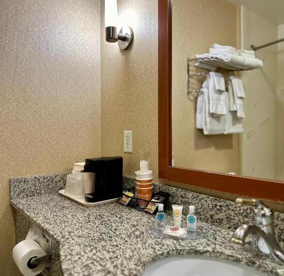 带大床的标准间, Comfort Inn Ogden Near Event Center