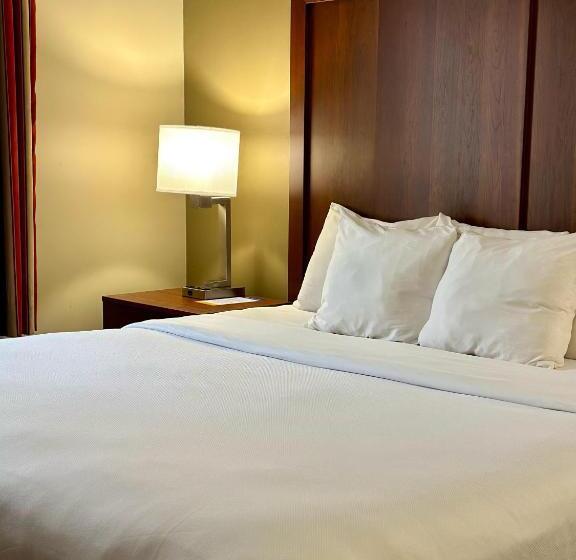 带大床的套房, Comfort Inn Ogden Near Event Center