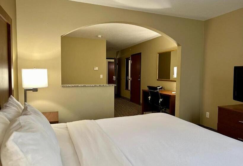 带大床的套房, Comfort Inn Ogden Near Event Center