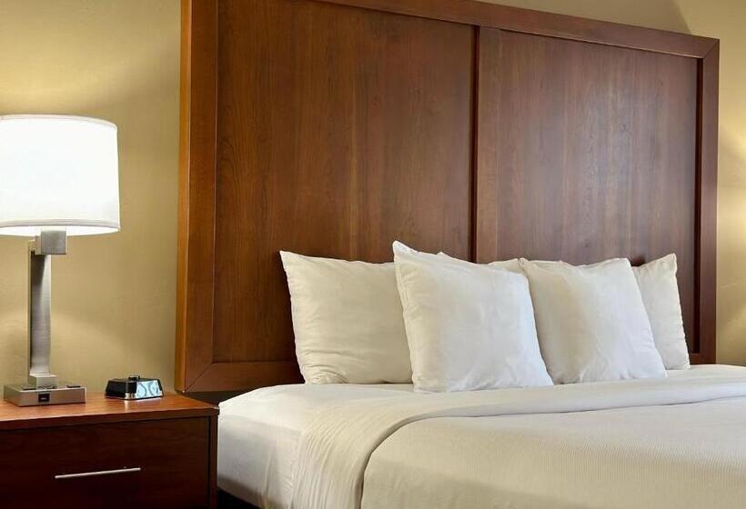 带大床的标准间, Comfort Inn Ogden Near Event Center