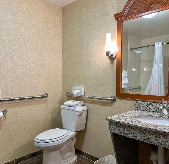 适合残疾人士使用的套间, Comfort Inn Ogden Near Event Center