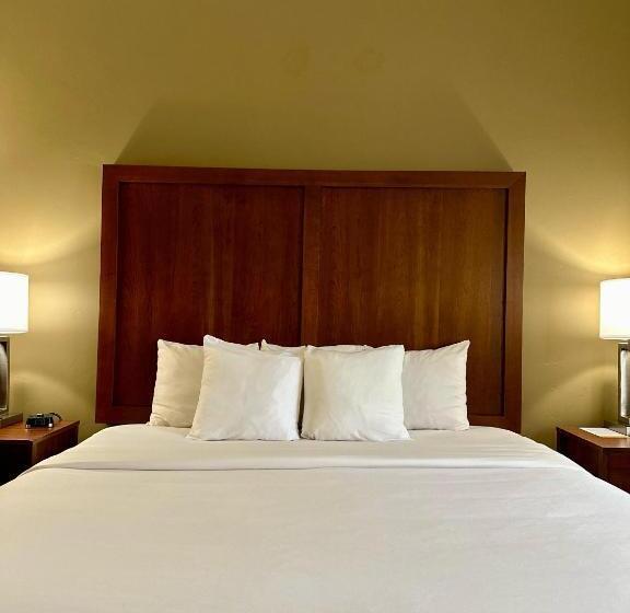 Номер Стандарт Кровать Кинг Адаптированный для Инвалидов, Comfort Inn Ogden Near Event Center