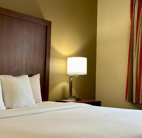 适合残疾人士使用的带超级大床的标准间, Comfort Inn Ogden Near Event Center