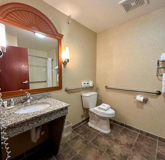 适合残疾人士使用的带超级大床的标准间, Comfort Inn Ogden Near Event Center